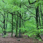 Traumhafte Im Landhausstil Lejlighed Hanshagen (Lubmin)