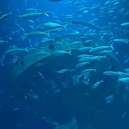 Traumhafte Im Landhausstil Apartment Hanshagen (Lubmin)