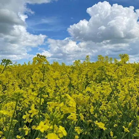 Apartment Traumhafte Im Landhausstil