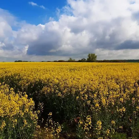 Traumhafte Im Landhausstil *