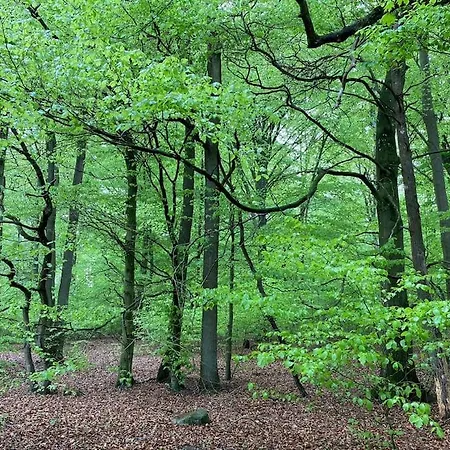 Traumhafte Im Landhausstil Apartment Hanshagen (Lubmin)